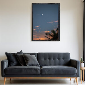 Quadro 50x70 Palmeira Preto